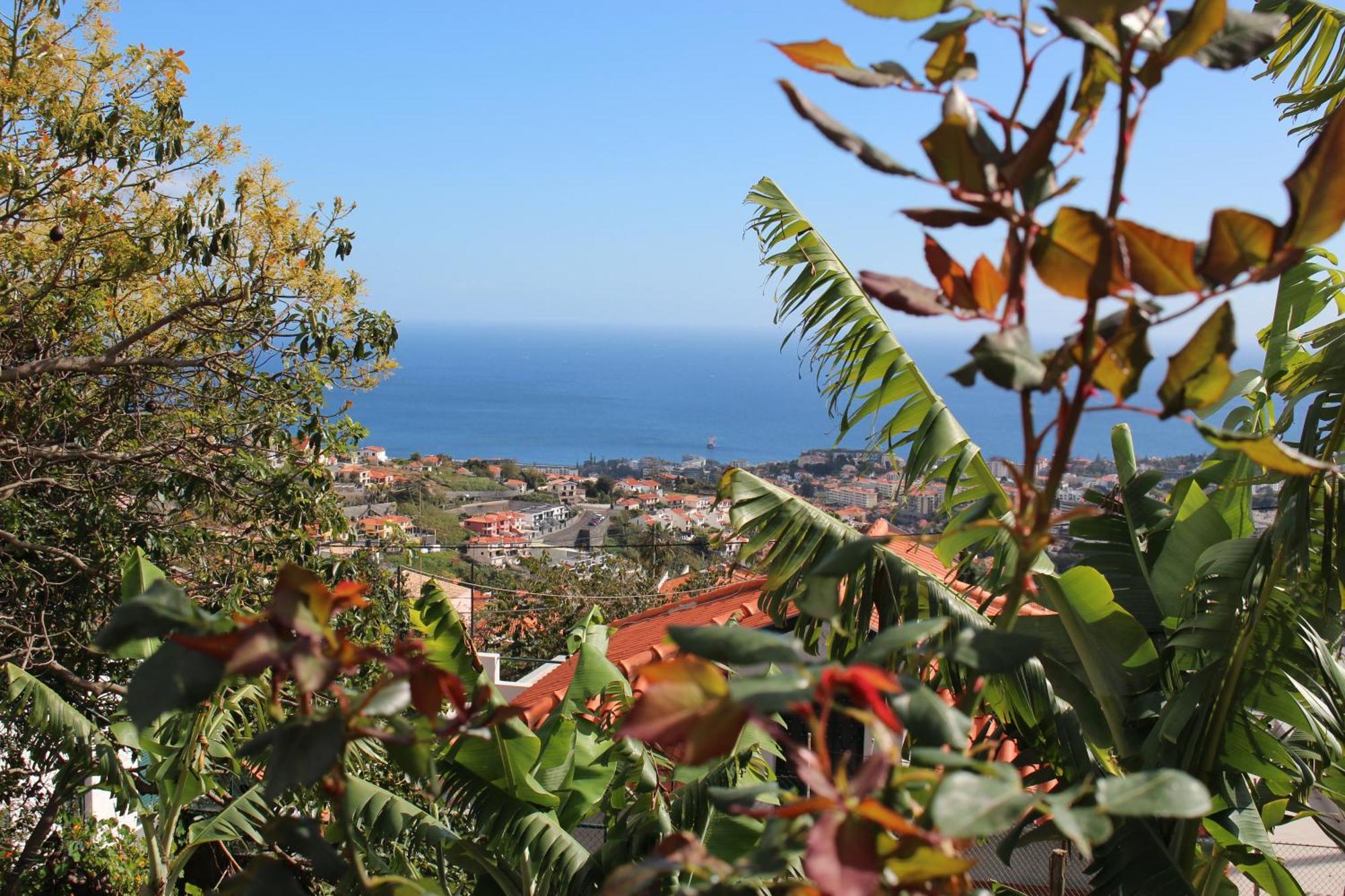 Alojamento Funchal - Silvestre House Luaran gambar